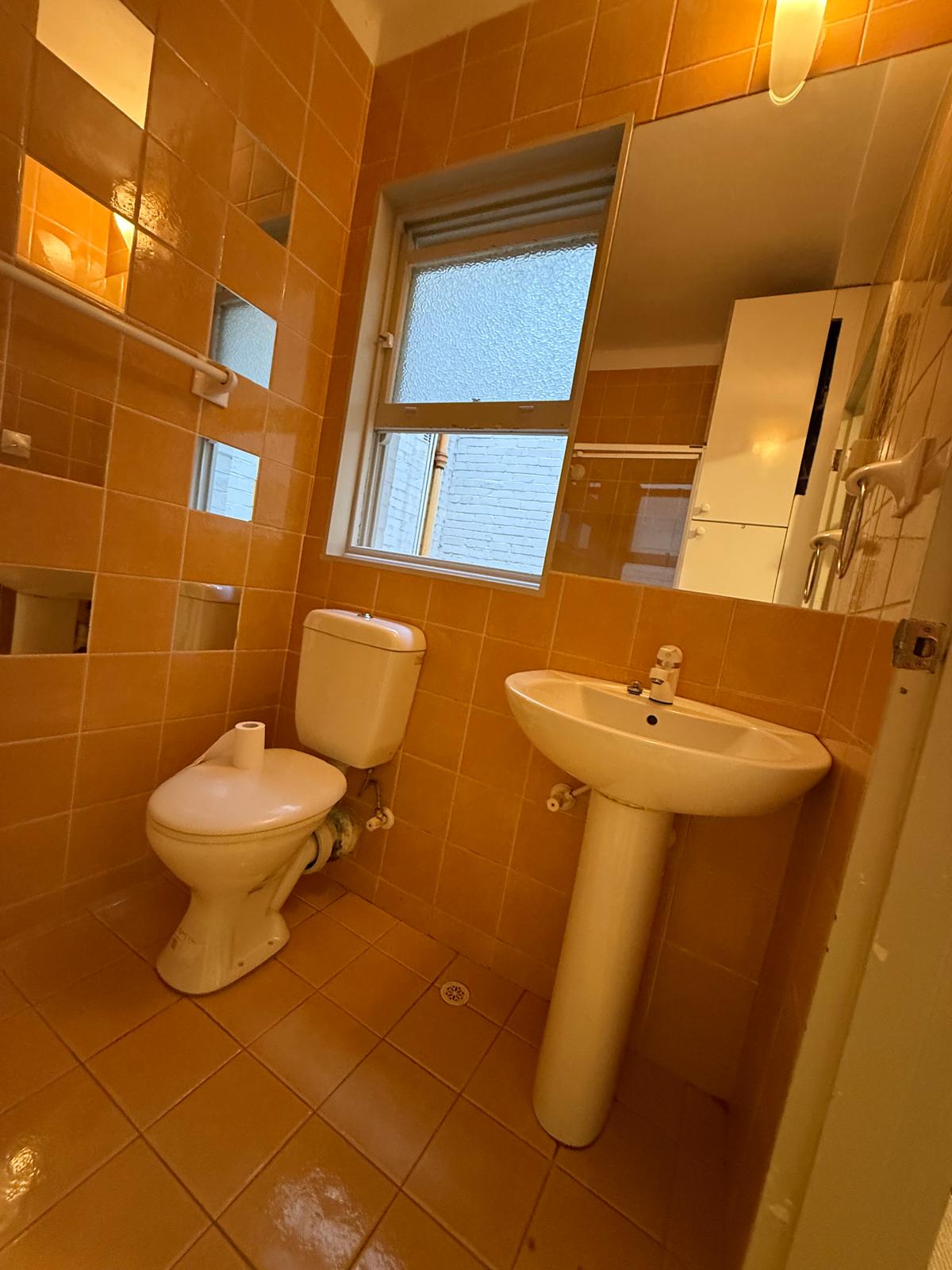 Bathroom renovation in Potts Point, view 11
