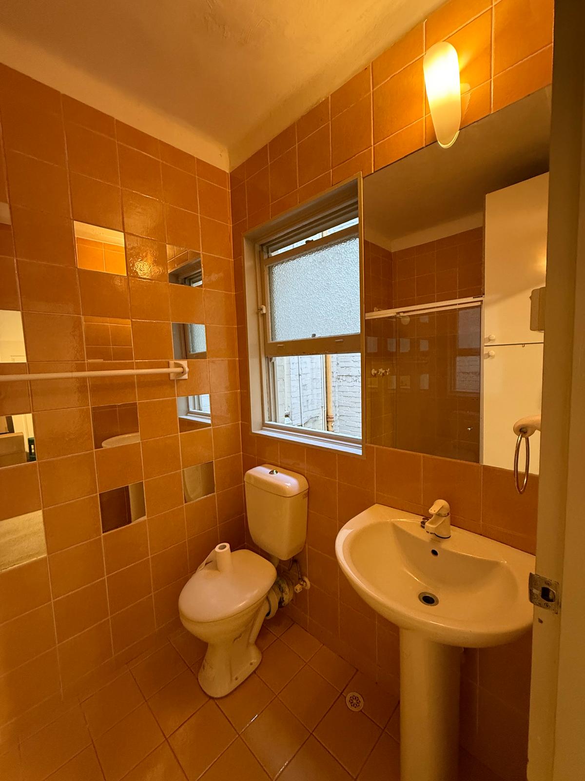 Bathroom renovation in Potts Point, view 13